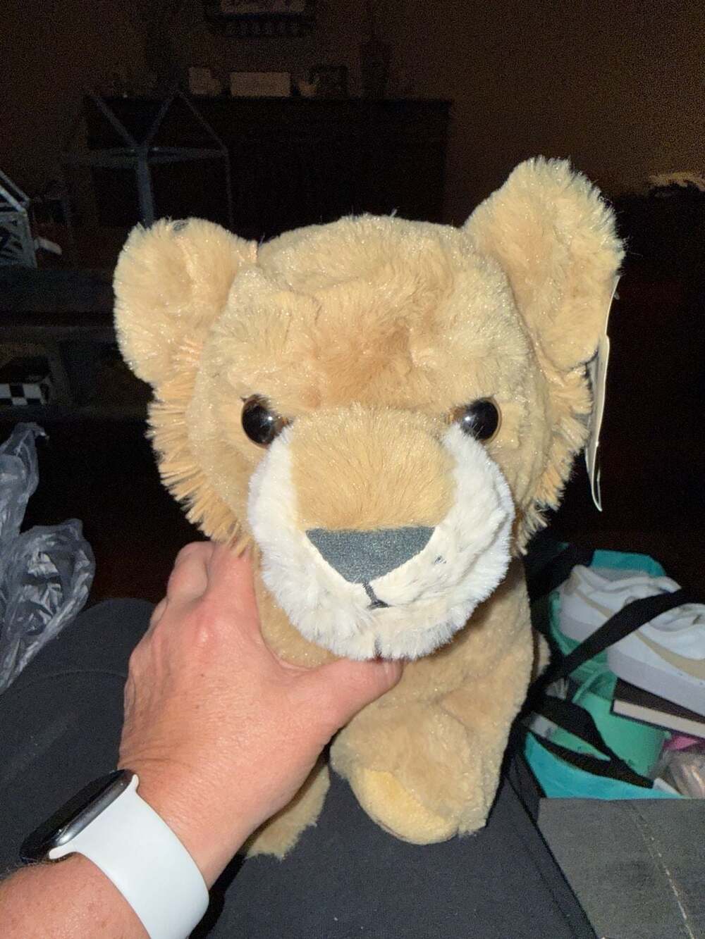 Build-A-Bear Disney The Lion King Movie 2019 Young Simba Plush with Tags